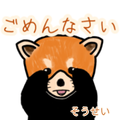 Sousei's lesser panda