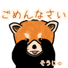 Souju's lesser panda