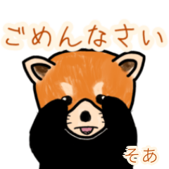 Soa's lesser panda