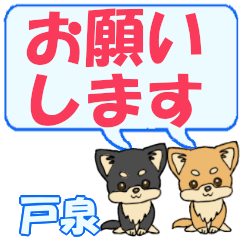 Doizumi's letters Chihuahua2