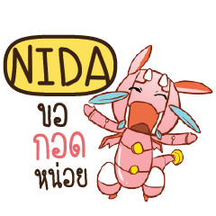 NIDA Dragie a cyborg who cute e