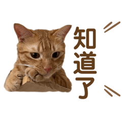 彭波皮