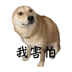 理科卡哇伊！