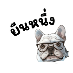 French bulldog Funny Dog