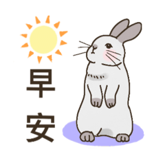 Meng Bunny_20240724213617