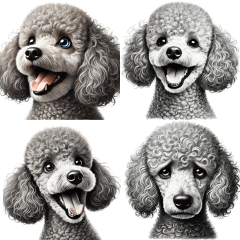 Playful Poodle's Daily Emotions