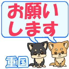 Shigekuni's letters Chihuahua2