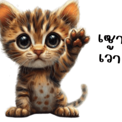 Little Cute Cat speak lao