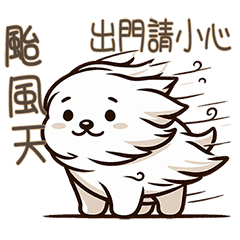 typhoon - white dog