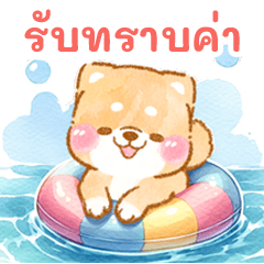 iyashibainu summer 2024(thai)