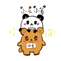 小云小蓁 棕熊貓熊