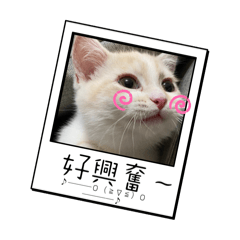 曼曼（2）