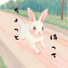 Tokyo Standard  Rabbit Daily Phrases