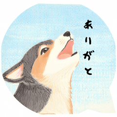 Tokyo Shiba Inu Greetings and More