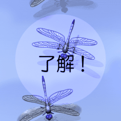 Dragonfly 3 (animation)