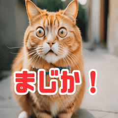 猫：遊び心と魅力あふれるLINEスタンプ