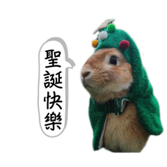 Penny Kyle_20240726022051 – LINE stickers | LINE STORE