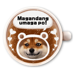 Shiba inu Gon Tagalog 20240725