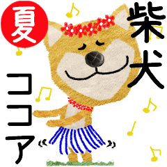 Shiba Inu "COCOA" 2024SUMMER