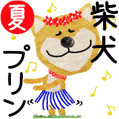 Shiba Inu "PUDDING" 2024SUMMER