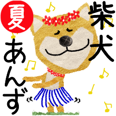 Shiba Inu "ANNZU" 2024SUMMER