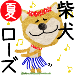 Shiba Inu "ROSE" 2024SUMMER