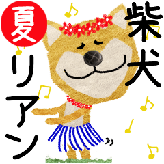 Shiba Inu "RIAN" 2024SUMMER