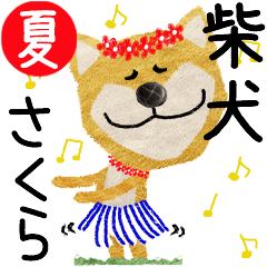 Shiba Inu "SAKURA" 2024SUMMER