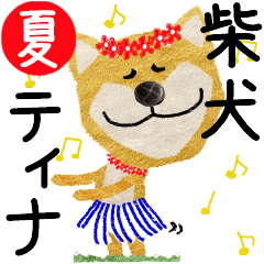 Shiba Inu "TINA" 2024SUMMER