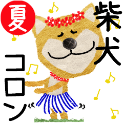 Shiba Inu "CORON" 2024SUMMER