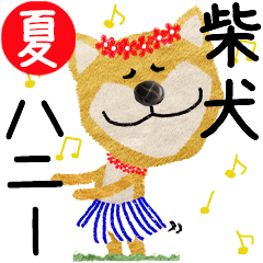 Shiba Inu "HONEY" 2024SUMMER