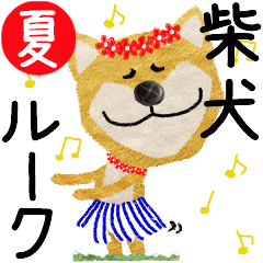 Shiba Inu "ROOK" 2024SUMMER