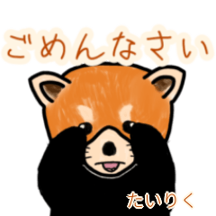 Tairiku's lesser panda