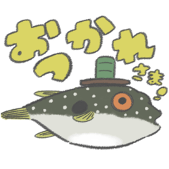 Puffer fish FUGU