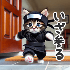 Munchkin Ninja "Nyanzou" 1