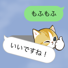 動く!邪魔するにゃん