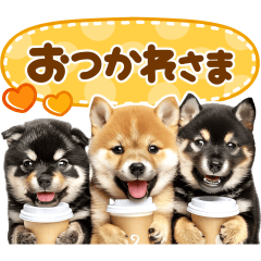 POPUP shibainu sticker