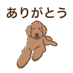 毎日使えるあいづち〜共感力の高い犬たち〜
