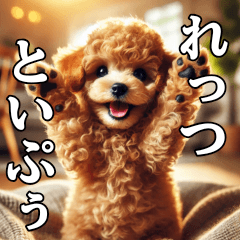 Let's Toy Poodle