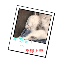 比比諾諾 問候真可愛