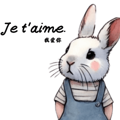 Romantic Paris Bunny - Classic Quotes