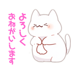 まっしろネコちゃん（敬語編）