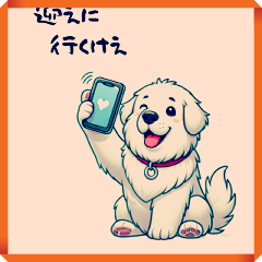 hiroshima Dialect Daily Conversation Dog