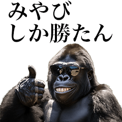 [Miyabi] Funny Gorilla stamps to send