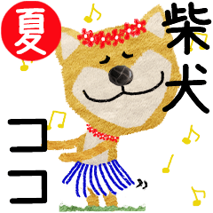 Shiba Inu "COCO" 2024SUMMER