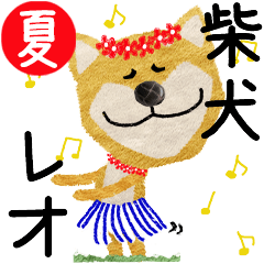 Shiba Inu "REO" 2024SUMMER