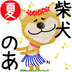 Shiba Inu "NOA" 2024SUMMER