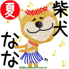 Shiba Inu "NANA" 2024SUMMER