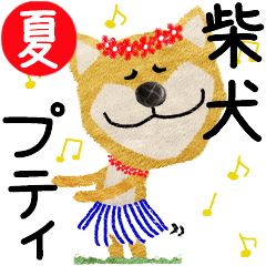 Shiba Inu "PETIT" 2024SUMMER