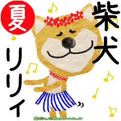 Shiba Inu "LILIE" 2024SUMMER